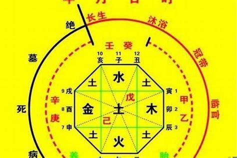 八字 天干|生辰八字算命、五行喜用神查询（免费测算）